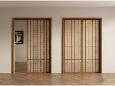 door glassdoor woodendoor 3D model
