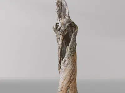 Tree dead 03 Scan  Free low-poly 3D model