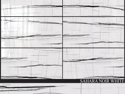 Decovita Sahara Noir White 600x1200 3D model