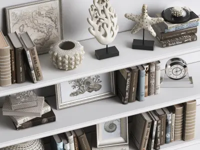 Decor Set 2 bookshelves with seashells 3D model
