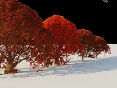 Pack of 6 Maple trees 3D model