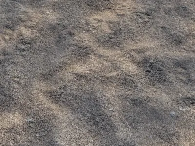 Sand on the shore 3D model