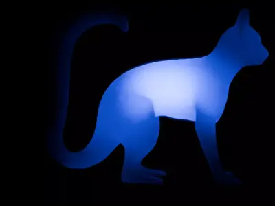 Indirect lighting for ring-tailed lemurs 3D model