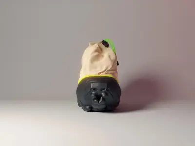 Sneakers Concept Salomon Low-poly 3D model