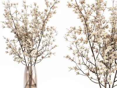 Collaction Plants Bouquet 11 3D model