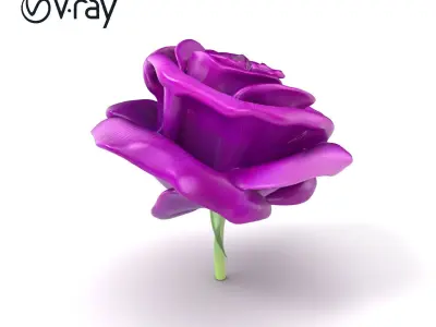 Rosa Purple Rose Velvety Texture Model Pack Low-poly 3D model