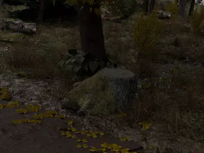  Realistic forest 3D model