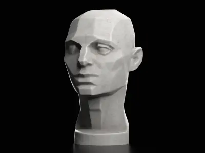 Planes of the Head - John Asaro - 1976  3D print model