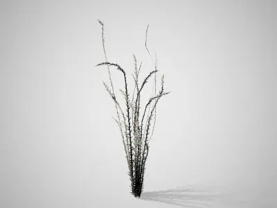 Ocotillo grass Low-poly 3D model