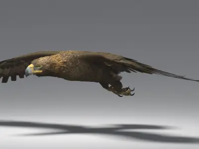  Golden Eagle Rigged 