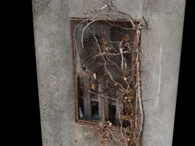 Window overgrown with plants 3D model