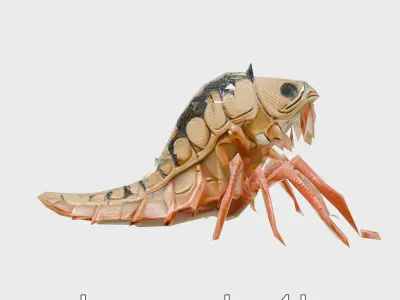 Insectoid Monster Creature Model with Spiked Shell Low-poly 3D model