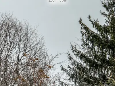 Panorama with snow-covered trees and a field v2 - 30k 3D model