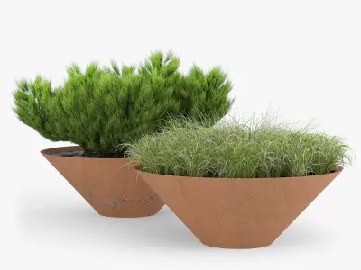 DAMAS BY ARRIOLA FIOL 3D model