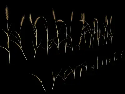  Wheat Field (+GrowFX) 