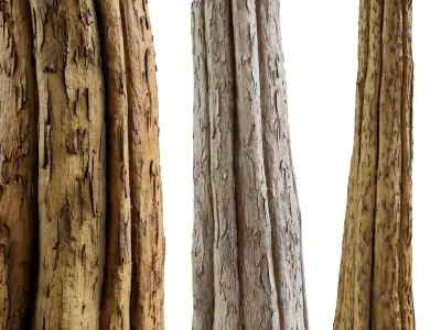 Bark 03 - Seamless Texture