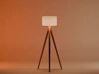 Modern Tripod Floor Lamp Free 3D model