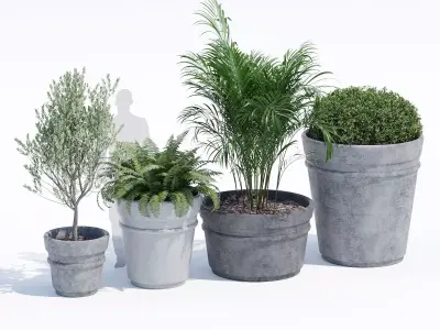 Reale planter 3D model