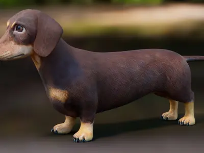  Dachshund Low Poly - Game Ready 
