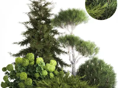 Spruce and pine topiary with hydrangea bushes for the garden  3D model
