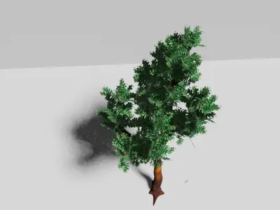Tree Free eucalyptus PBR Free low-poly 3D model