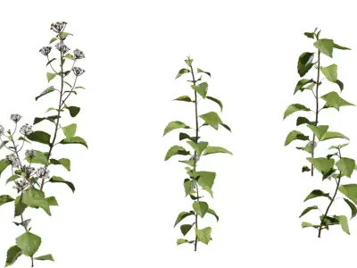 Game Ready Foliage Pack  Low-poly 3D model