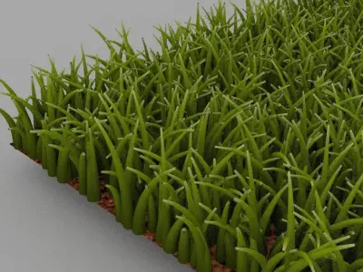 Grass 3D model