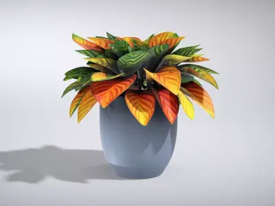 Vibrant Croton Plant in Matte Ceramic Pot Low-poly 3D model