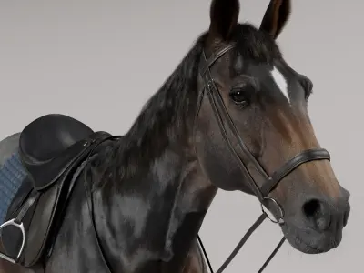  Horse SealBrown Saddled 