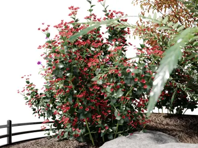 Alpine hill-Outdoor Plant Collection 3D model