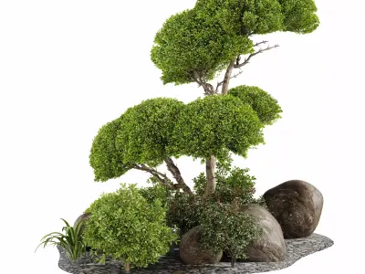 garden tree 3D model