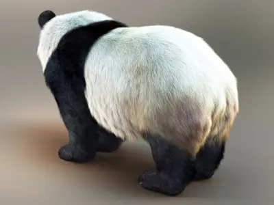  Giant Panda RIG XGEN-CORE 