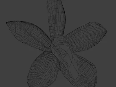 Vanilla Flower 3D model