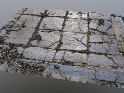 Tilescan02 stone floor with cracks in it 3D model
