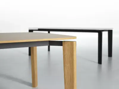 Dining Set 12 3D model