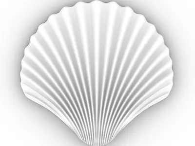 3D SeaShell - Carved design - high poly details - 3d printble 3D print model