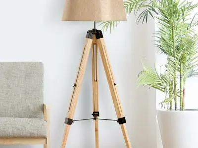 Mesquite 143cm Tripod Floor Lamp 2 Option 3D model