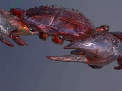 Realistic 3D Crab 3D model