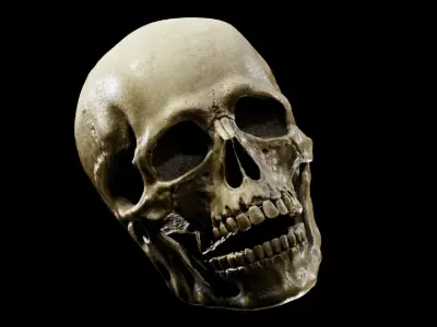 Human Skull Full Printable and Nanite Ready PBR 4K 3D print model