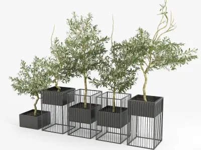 Kehlani Plant Stand Olea 3D model