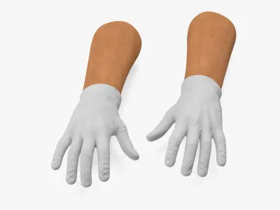  Hands Wearing Medical Gloves White Rigged for Cinema 4D 