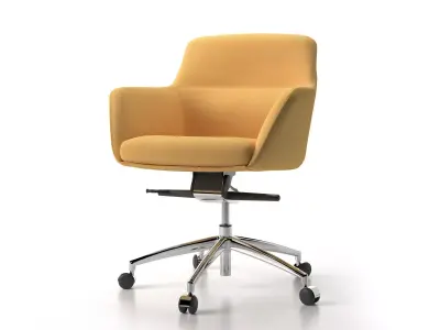 Darwin Swivel Low 3D model