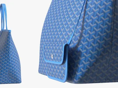  Lady's Bag and Its Contents Collection 