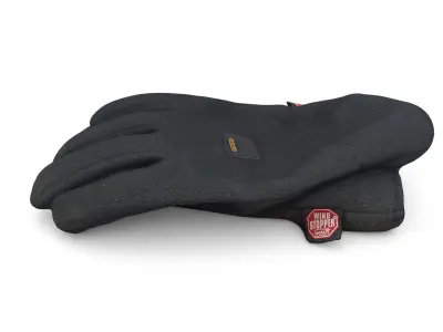 Gloves pair of 3D model