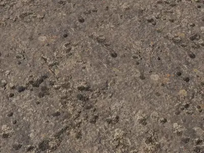 Wet Clay Plaster with Mossy Spots Texture