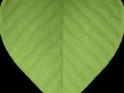 Yen Boutique Free 3D model