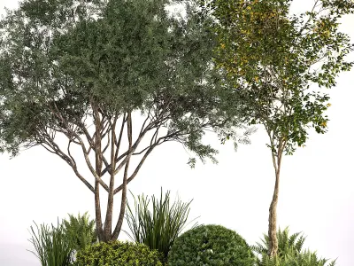 Rocks  Plants Combination 3D model