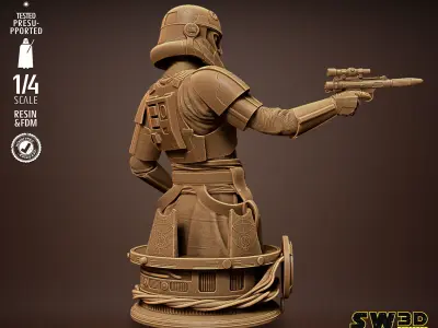 STAR WARS Captain Enoch Bust Tested for 3D printing 3D print model