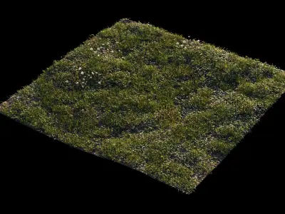 Grass setup - Chaos scatter for Cinema 4D and Corona 3D model