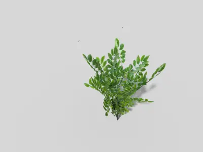 Plant Low-poly 3D model order